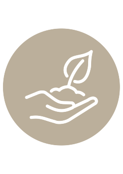 Kategorie-04_350x350